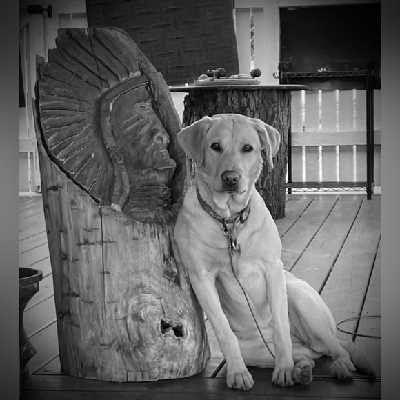 Meet your Posher, Margaret - Picture 4 of 5